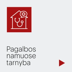 Pagalbos namuose tarnyba